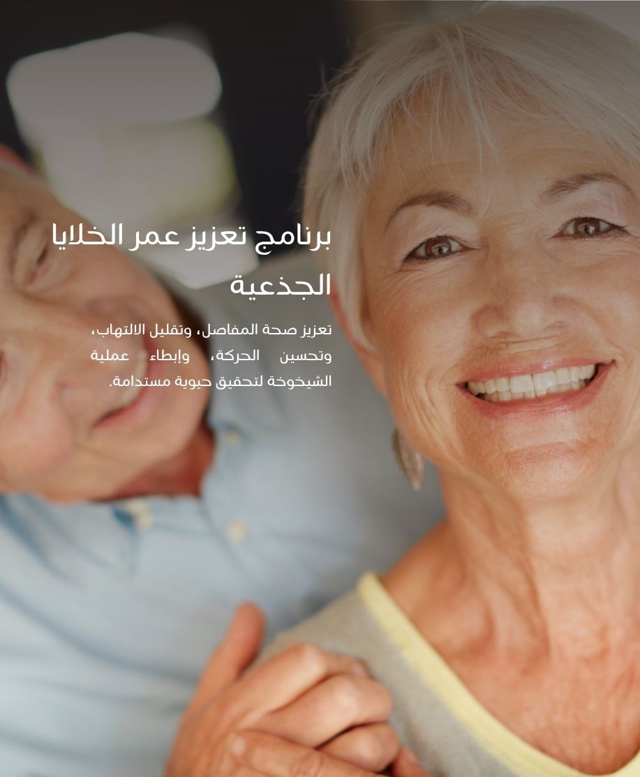 Arabic 11